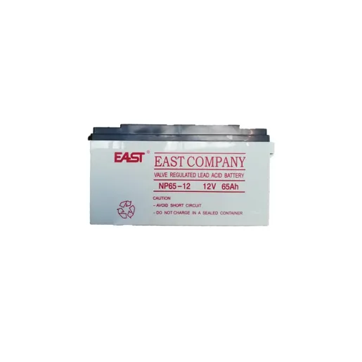 EAST NP65-12 12V/65Ah UPS battery
