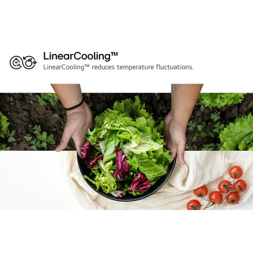 LG GR-L257KLKW.APYQMER Side-by-Side - 179x91.3x73.5 625 LT NF Inverter Dispenser Silver 