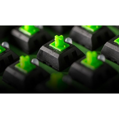 Razer BlackWidow V3 TKL Green Switch USB US RGB Black