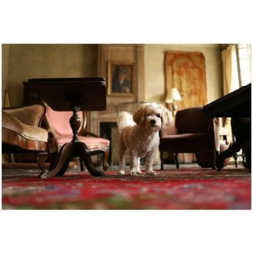  Canon EOS RP Full Frame Mirrorless Vlogging Portable Digital Camera with 26.2MP Full-Frame CMOS Sensor, Wi-Fi , Bluetooth, 4K Video Recording and 3.0”