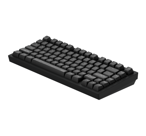 Dark Project ALU Terra Nostra Black - Wired Gaming Keyboard (ANSI)