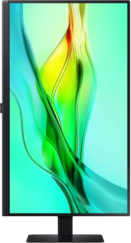  ViewFinity S6 27" QHD 2560 x 1440 IPS 5ms 100Hz Type-C