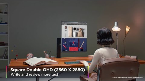 LG DualUp Ergo Monitor